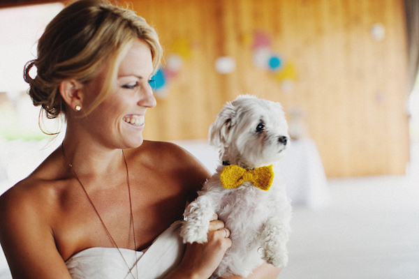 Cute photo of dog with marigold bow tie - Photo by Ryan Flynn Photography
